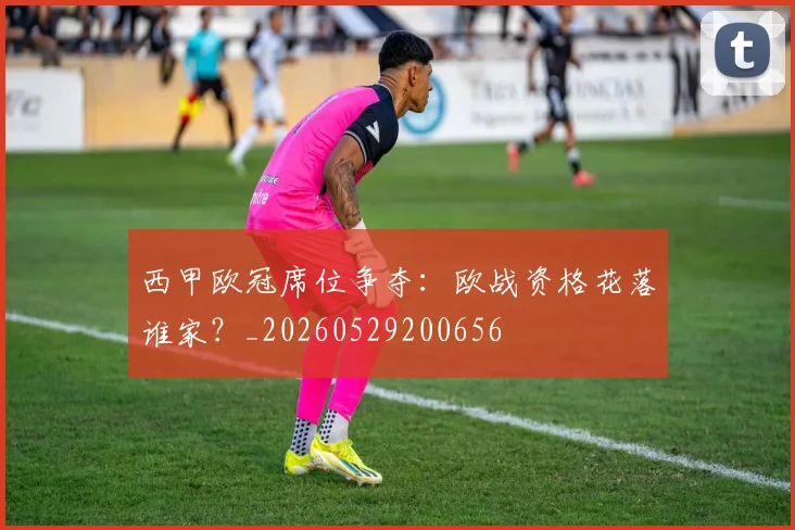 西甲欧冠席位争夺：欧战资格花落谁家？_20260529200656