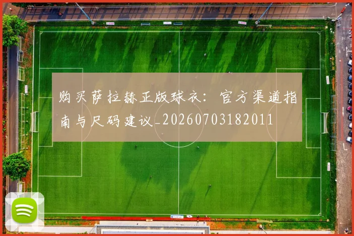 购买萨拉赫正版球衣：官方渠道指南与尺码建议_20260703182011