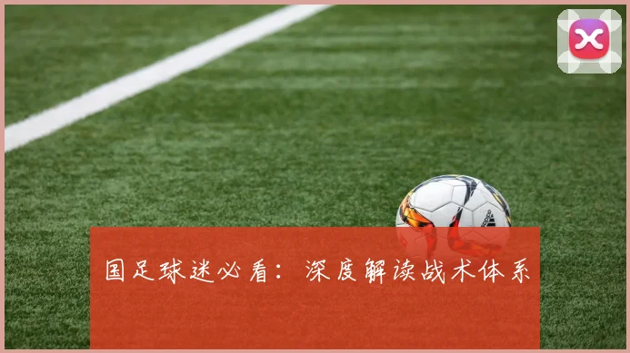 国足球迷必看：深度解读战术体系