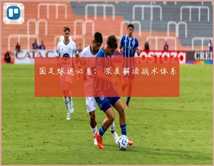 国足球迷必看：深度解读战术体系