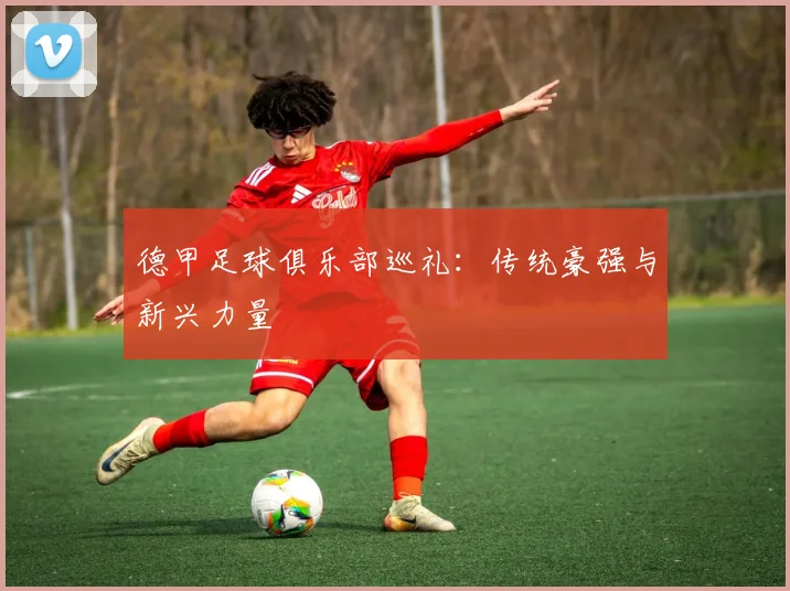 德甲足球俱乐部巡礼：传统豪强与新兴力量